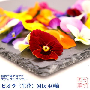 【植物工場産】エディブルフラワー＜うずの華＞ (Mix、40輪)