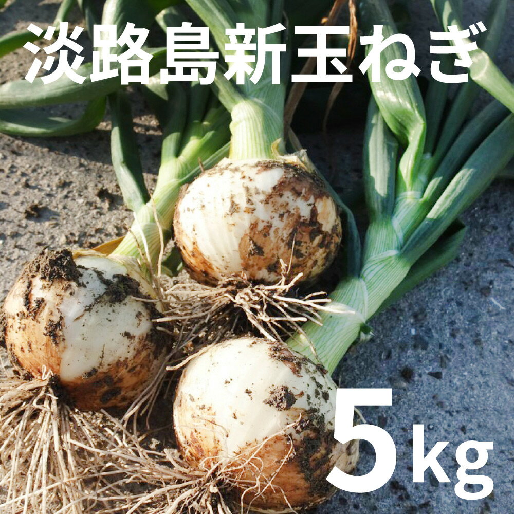 てっちゃんの淡路島たまねぎ5kg (お届けまでに最長2週間ほどお時間を頂く場合がございます)
