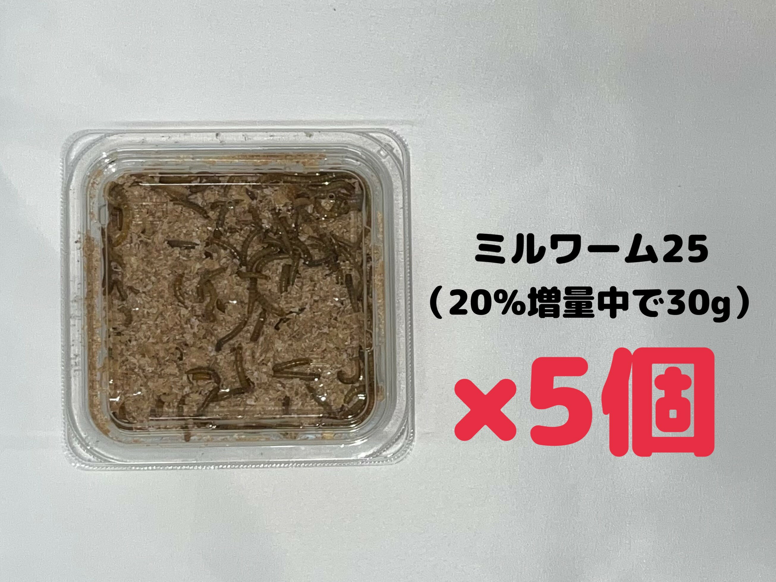 楽天市場】ミルワーム 送料無料の通販 楽天市場】ミルワーム 送料無料の通販