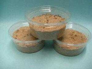 送料無料 ウズラ大学 ミルワーム10 10gX 3カップ 無農薬野菜とウズラフードで育てた