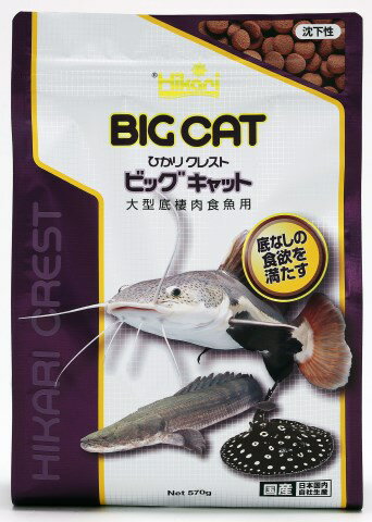 ひかりクレストビッグキャット570g[観賞魚 フード 餌・えさ]