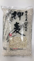 押麦 1kg［押麦 押し麦］