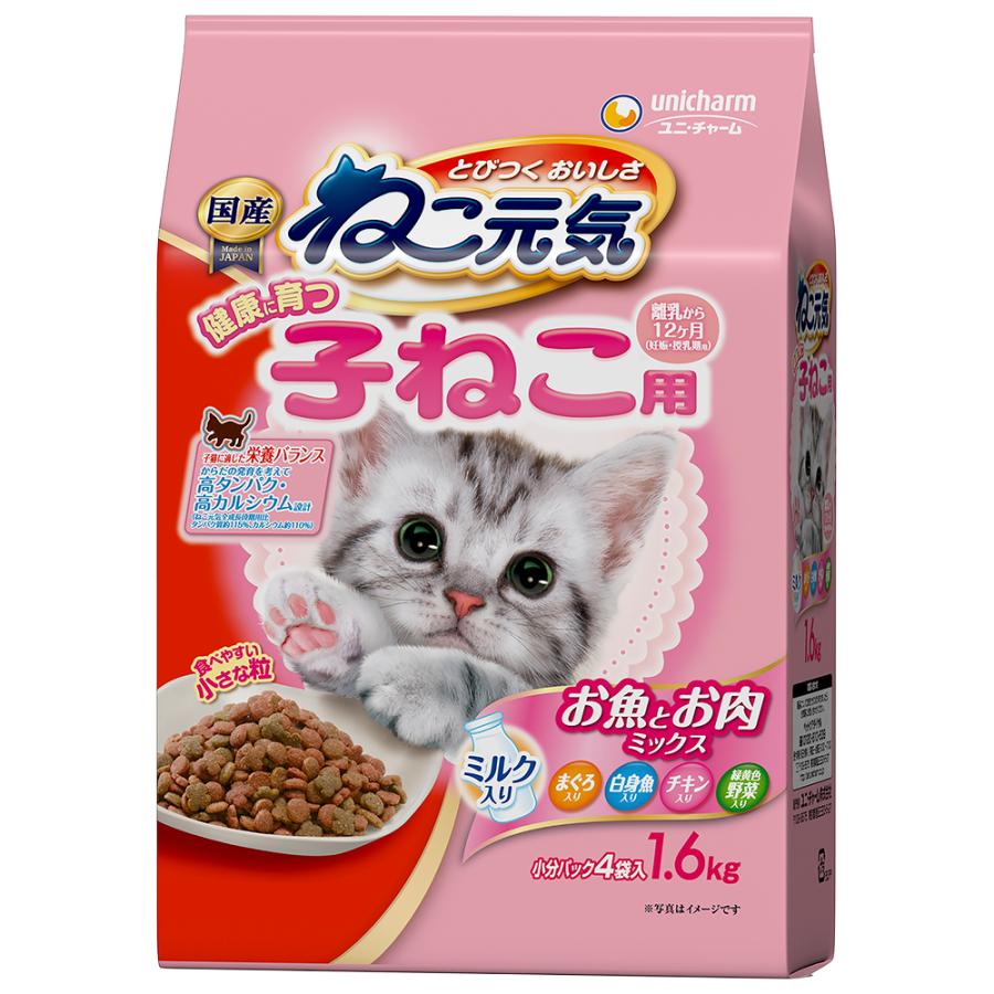 Natural - ねこ元気 健康に育つ子ねこ用お魚とお肉ミックス1.6kg[ねこ元気 キャットフード ドライ]