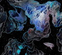 ◇ソースエイティーワンアンドシンゴツー/Sauce81 & Shing02/S8102/OTCD6690