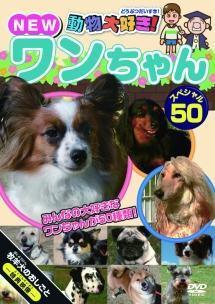 【中古】Never　Ending　Wonderful　Story【通常仕様】/DVD/JEBN-0057