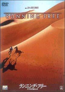 ˥󥰡ե꡼ /RDD29094