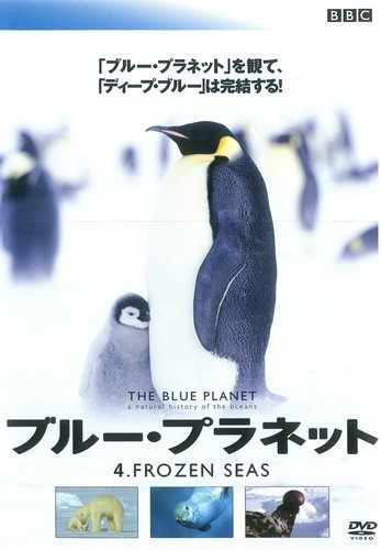 ◇ブルー・プラネット 4 FROZEN SEAS [レンタル落ち]/REDV00391P