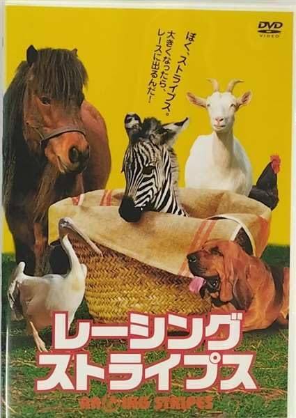 ◇レーシング・ストライプス/DZ0170