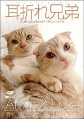 ޤ췻 ƥåեɡȥ&롼/SDA69