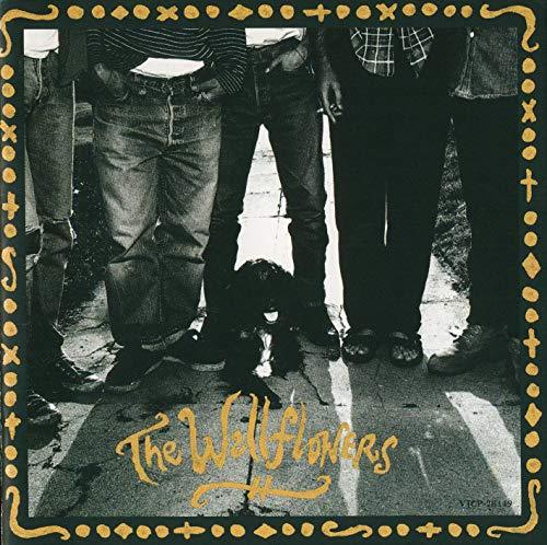 ◇ウォールフラワーズ/The Wallflowers/VJCP3374