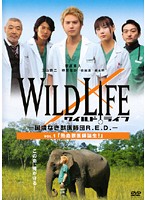 【中古】ワイルドライフ 〜国境なき獣医師団R.E.D.〜 全2巻セット s6618／GAHR-1345-1346【中古DVDレンタル専用】