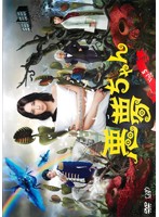 楽天市場】悪夢ちゃん dvdの通販