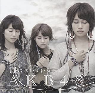【中古】風は吹いている(劇場盤) / AKB48 c8404【未開封CDS】