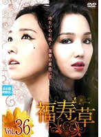 【中古】福寿草 36 b30165【レンタル専用DVD】