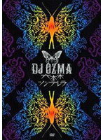 【中古】六本木ツンデレラ a156【中古DVD】