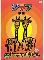 ӥǥɥߥåŷԾŹ㤨֡šۡԥʤե  b13490ڥ󥿥ѡۡפβǤʤ200ߤˤʤޤ