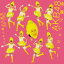 š۱ʱץå㡼(Type D)(DVD) / AKB48 c9175CDS