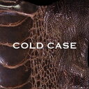 【中古】COLD CASE(lipper) / vistlip c9507【中古CDS】