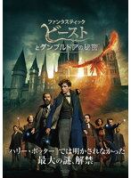 【中古】◎ファンタスティック・ビーストとダンブルドアの秘密【訳あり】【レンタル専用DVD】