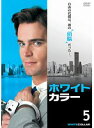 【中古】《ケースなし》ホワイトカラー ‘知的’犯罪ファイル vol.5 b51451【レンタル専用DVD】