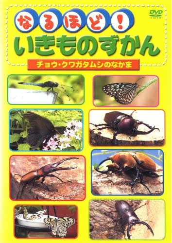 【中古】《ケースなし》なるほど！いきものずかん チョウ・クワガタムシのなかま b47954【レンタル専用DVD】