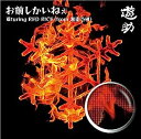 【中古】お前しかいねぇ 遊turing RED RICE(from湘南乃風)(初回生産限定盤A)(DVD付) / 遊助 c13666【中古CDS】