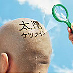 š / ĥᥤ c14197CDS