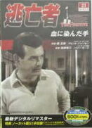 ����šۡԥ������ʤ���ƨ˴�� ��������1 vol.21 ���������� b49696�����DVD��