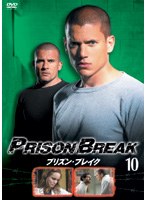 ����šۡԥ������ʤ��եץꥺ�󡦥֥쥤�� Vol.10 b52021�ڥ�󥿥�����DVD��