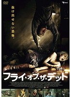 šۢե饤֡ǥå b49890 j66ڥ󥿥DVD