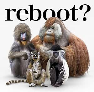 【中古】reboot〜あきらめない詩〜/流れ星(初回限定盤)(DVD付) / flumpool c14824【中古CDS】