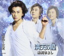【中古】満天の瞳(Bタイプ)/氷川きよし 【訳あり】 c15345【中古CDS】