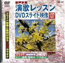 【中古】演歌レッスン DVDスライド映像 137 スライド映像と歌詞が出るDVDカラオケ【訳あり】a2186【中古DVD】