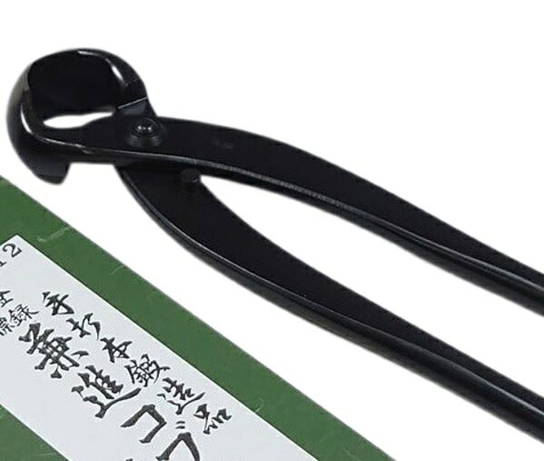 V.ROAD 盆栽 植木 庭木 コブ切 特大 全長300mm No.12