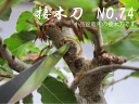 V.ROAD 盆栽 植木 庭木 接木刀 細身 No.74