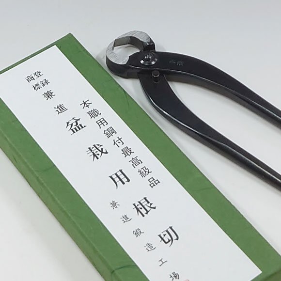 乐天商城 - V.ROAD　盆栽　植木　庭木　根切　ミニ　全長150mm　No.13B