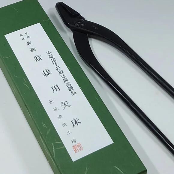 乐天商城 - V.ROAD　盆栽　植木　庭木　矢床　やっとこ　大　全長230mm　No.49