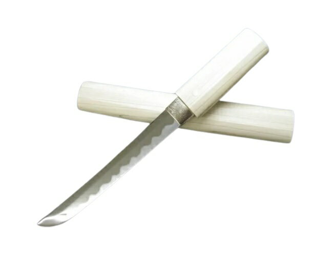 V.ROAD����¤�ᡡû�����6�� (T009)����������ӥ˼����Բ�