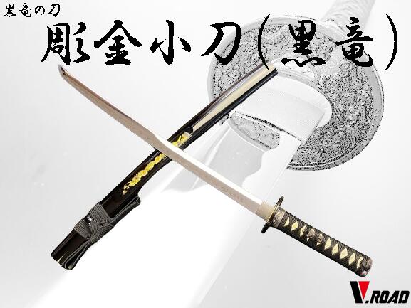 V.ROAD����¤�ᡡĦ�⾮�� (��ε)������ȡ���ž夲��SW-2200M������������ӥ˼����Բ�