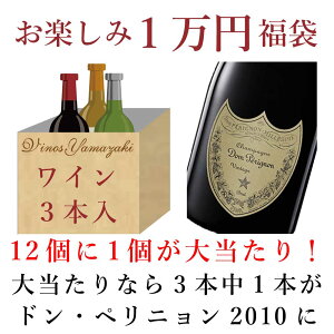 2022年初売 お楽しみ1万円福袋 （赤1本、白1本、泡1本）【2022年1月1日以降お届け予定】 [ 福袋 ドン・ペリニョン ワインセット ]