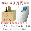 2022年初売 お楽しみ3万円福袋 （赤3本） [ 福袋 オーパス・ワン ワインセット ]