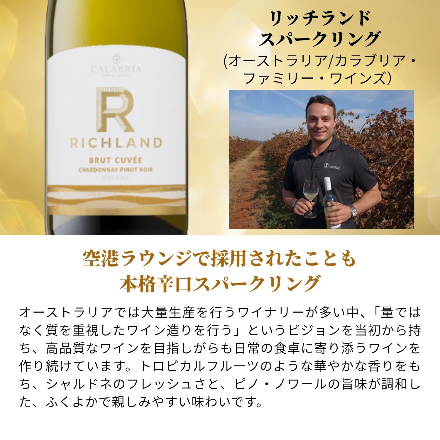 【送料無料】スパークリング飲み比べワインセット 8本 第2弾 [ ワイン 辛口 泡 スパークリング ワインセット 飲み比べ スペイン オーストラリア ギフト プレゼント おすすめ ] v-yamazaki-10008095 ヴィノスやまざき 楽天市場店 サンプル画像2