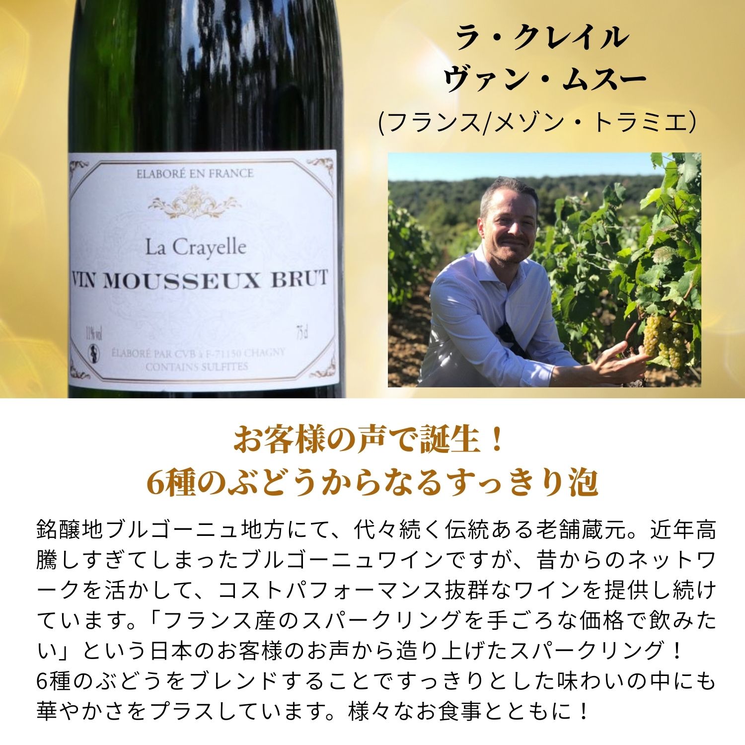 【送料無料】 キリッと辛口！いま注目のスパークリングワインセット 6本 [ ワイン ワインセット 飲み比べ スパークリング 辛口 すっきり 蔵元直送 厳選 スペイン フランス イタリア ポルトガル オーストラリア お買い得 おすすめ 人気] v-yamazaki-10008653 ヴィノスやまざき 楽天市場店 サンプル画像3