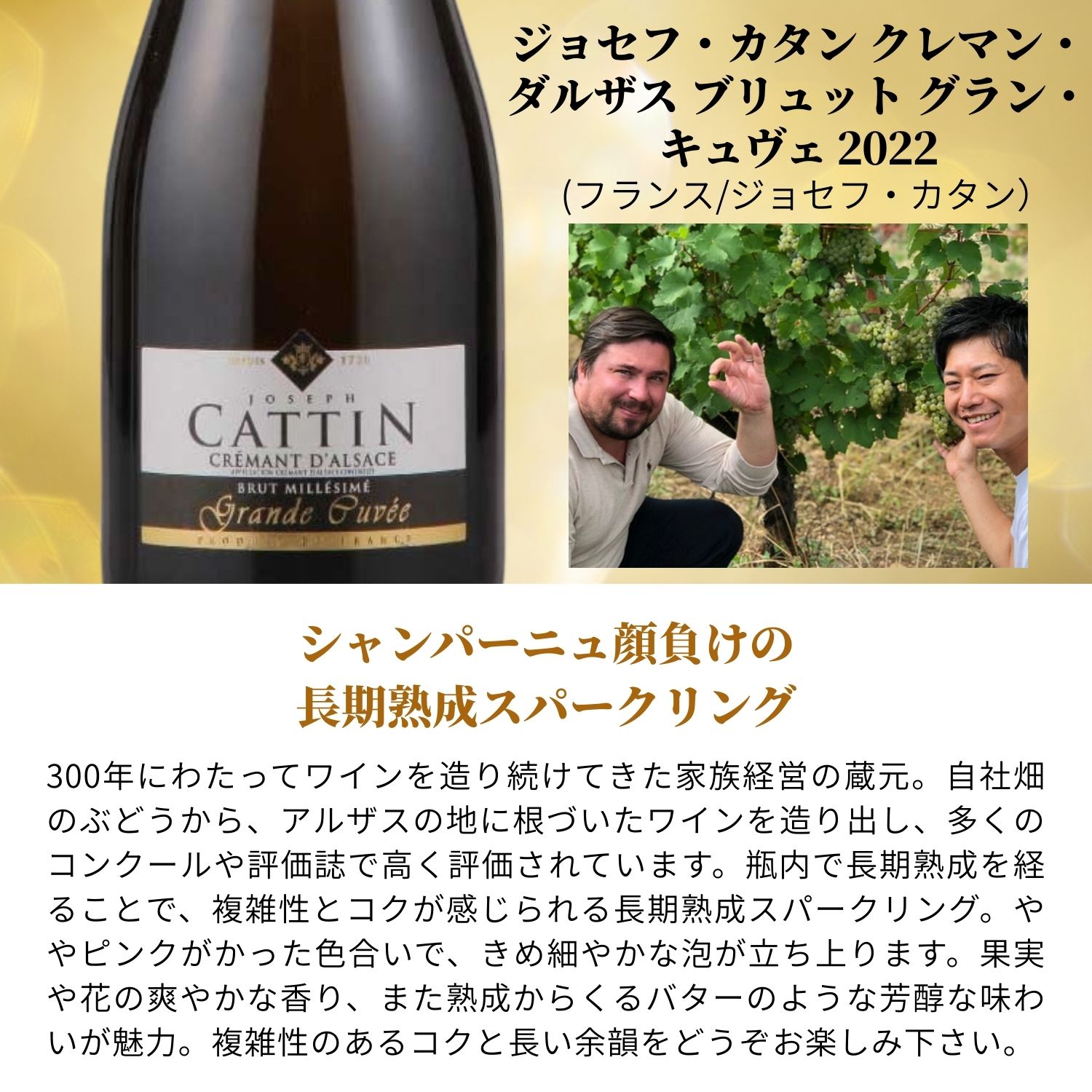 ジョセフ・カタン クレマン・ダルザス ブリュット グラン・キュヴェ 2022 [ ワイン スパークリング スパークリングワイン フランス シャンパーニュ おすすめ 人気 ギフト プレゼント 贈り物 贈答品 ] v-yamazaki-10008217 ヴィノスやまざき 楽天市場店 サンプル画像2
