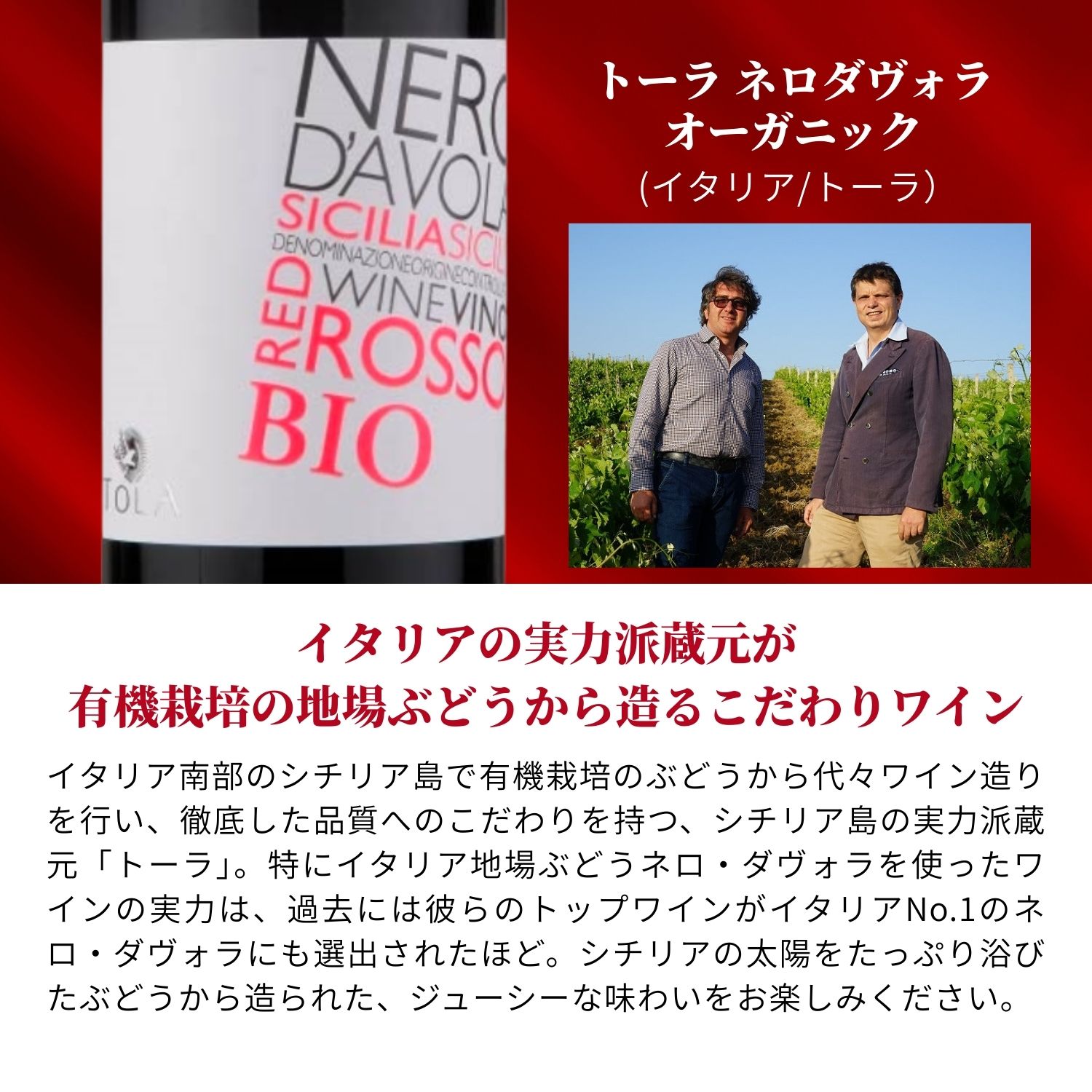 ������̵�����������֥磻�������٥��å� 10�� ��11�� [ �� �磻�� �֥磻�� �磻�󥻥å� ������� �������� �ե�� �������ȥ�ꥢ ���� �����ꥢ ]