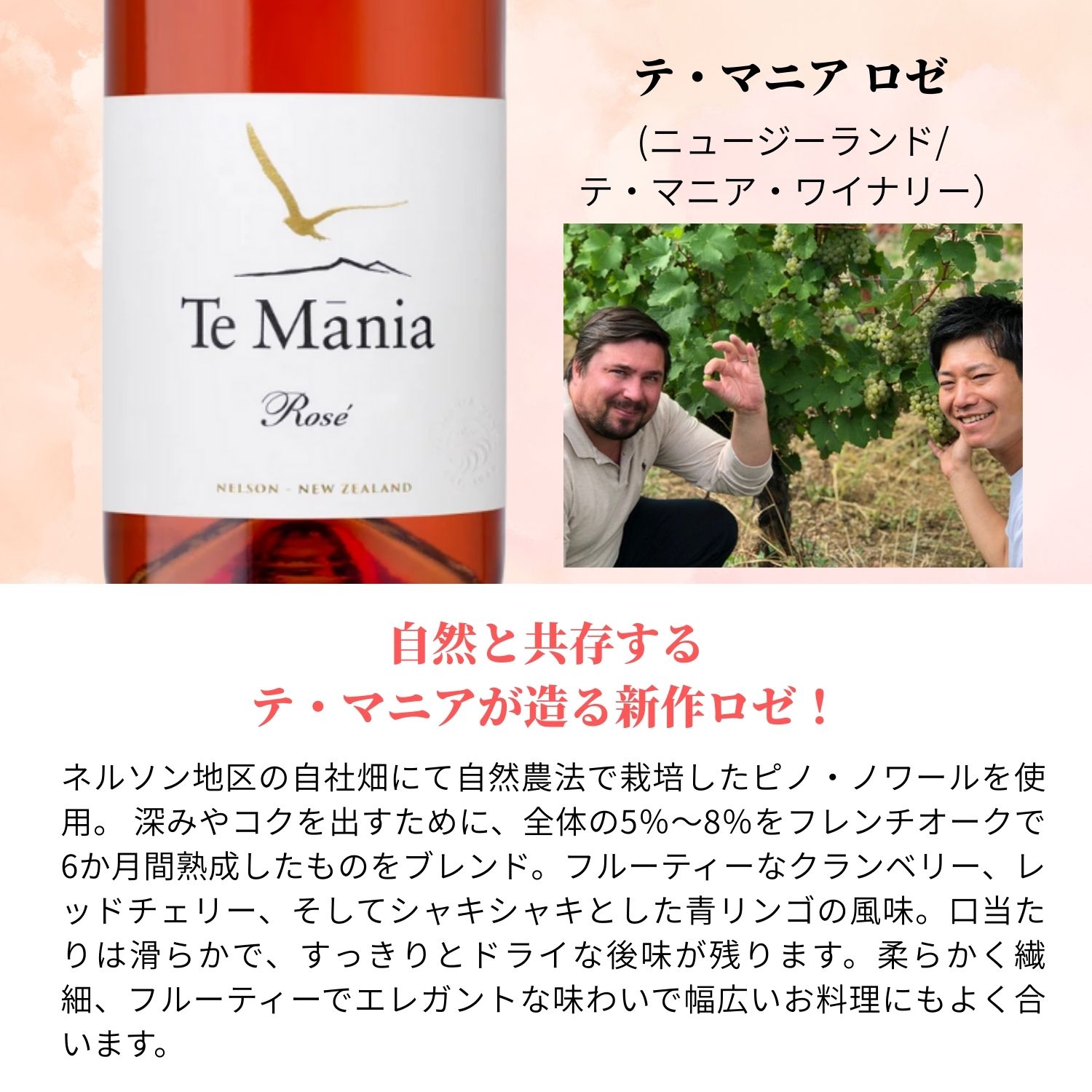 �����Ĥ�������&����󥸿͵�¢ľ�磻�󥻥å� 5�� ��4�� �磻�� �磻�󥻥å� ���� �����磻�� ����� ����󥸥磻�� �ե�� �˥塼�������� ��եꥫ ����̵��