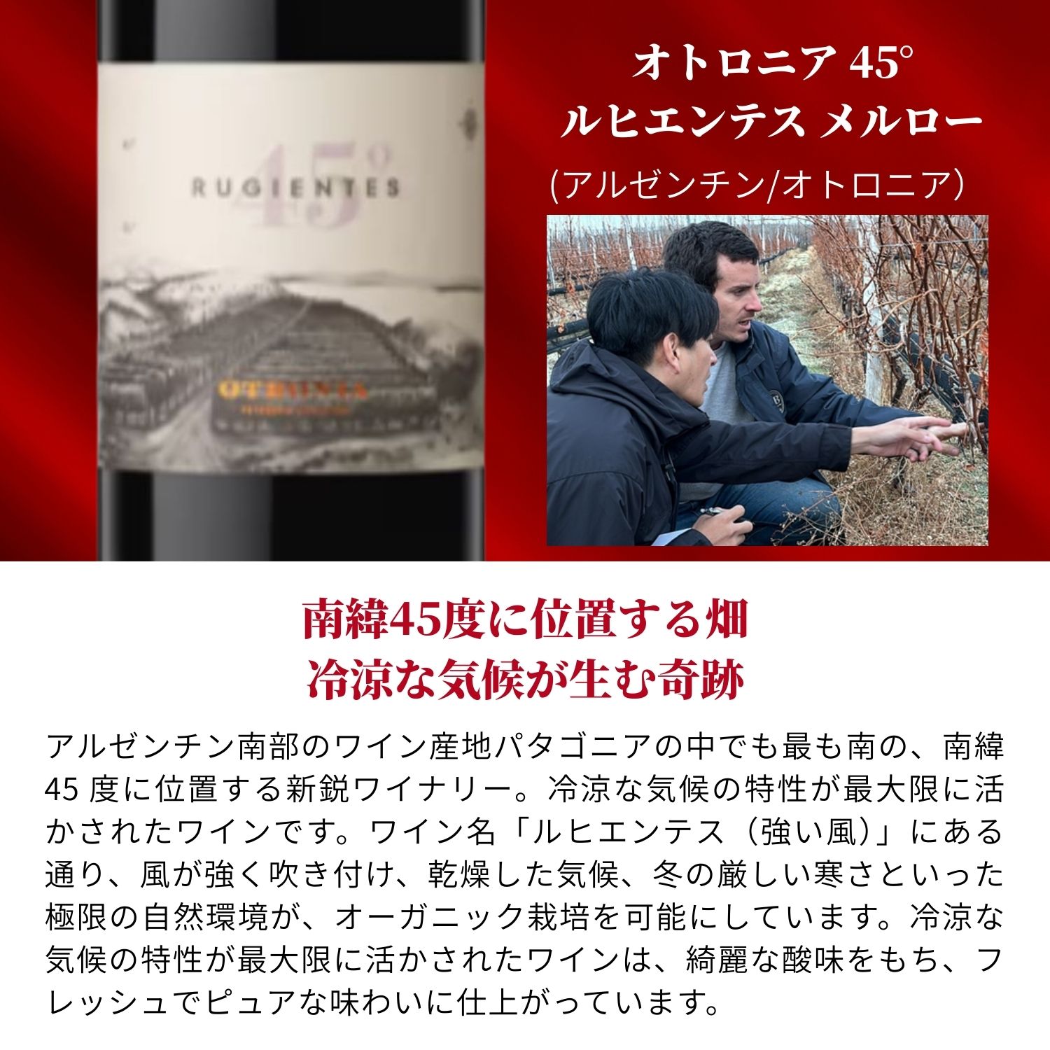 冬のお楽しみBOX 30000円 赤4本
