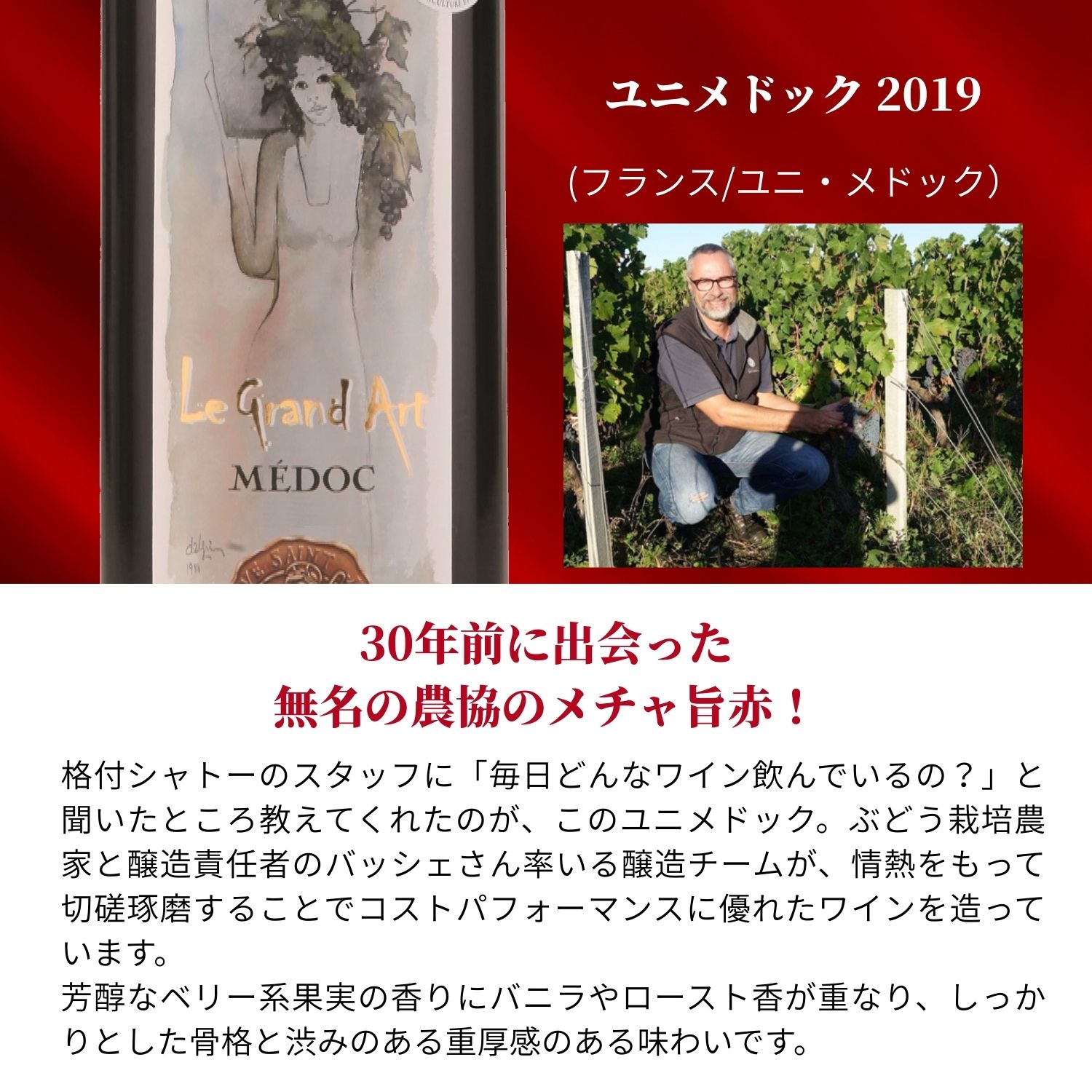 【10％OFF・送料無料】ユニメドック 2019 12本まとめ買いセット [ 赤ワイン コクあり フランス ボルドー ] 全国27店舗展開 ワイン専門店「ヴィノスやまざき」直輸入するコスパ良く確かな美味しさ！ v-yamazaki-10008652 ヴィノスやまざき 楽天市場店 サンプル画像2