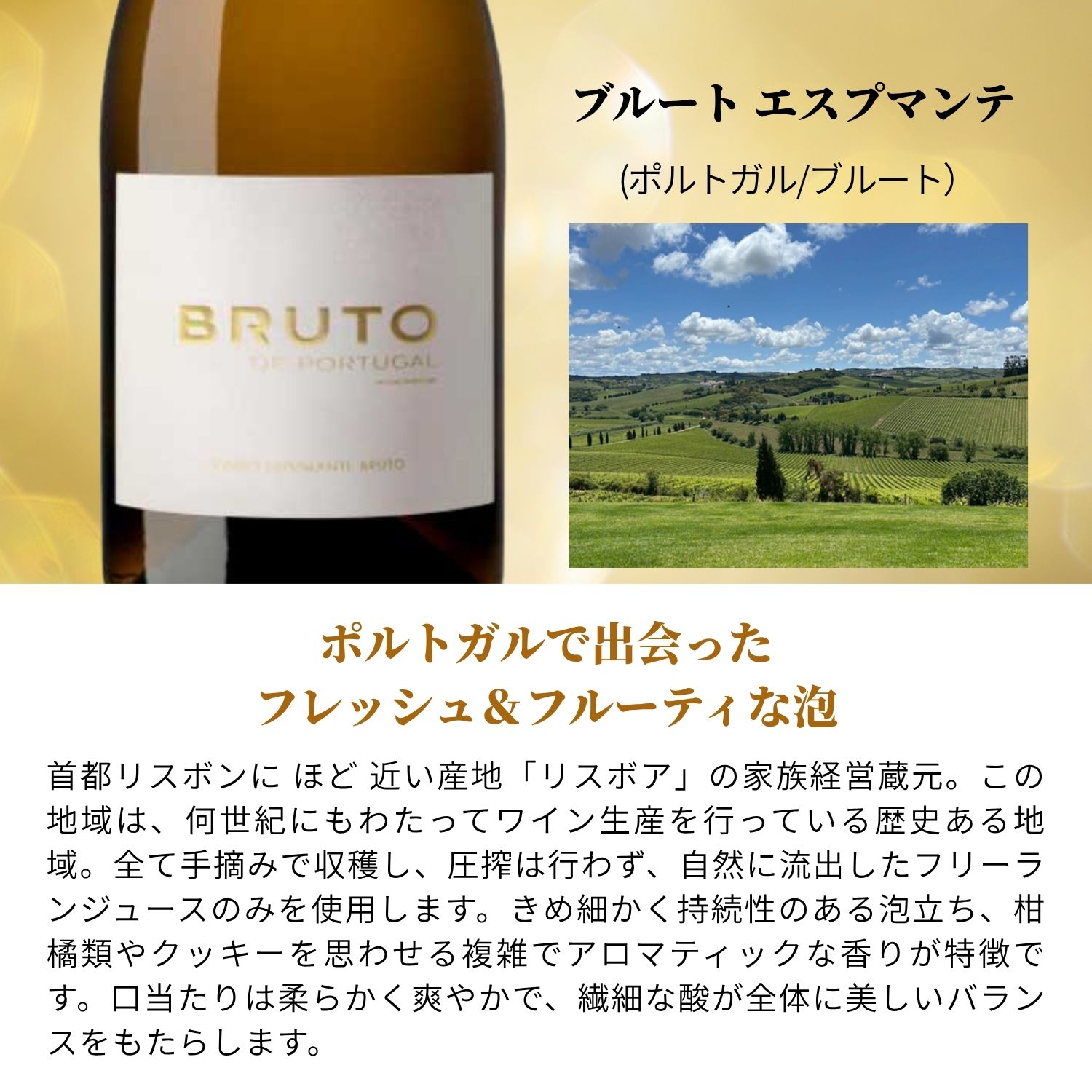 【送料無料】 キリッと辛口！いま注目のスパークリングワインセット 6本 [ ワイン ワインセット 飲み比べ スパークリング 辛口 すっきり 蔵元直送 厳選 スペイン フランス イタリア ポルトガル オーストラリア お買い得 おすすめ 人気] v-yamazaki-10008653 ヴィノスやまざき 楽天市場店 サンプル画像2