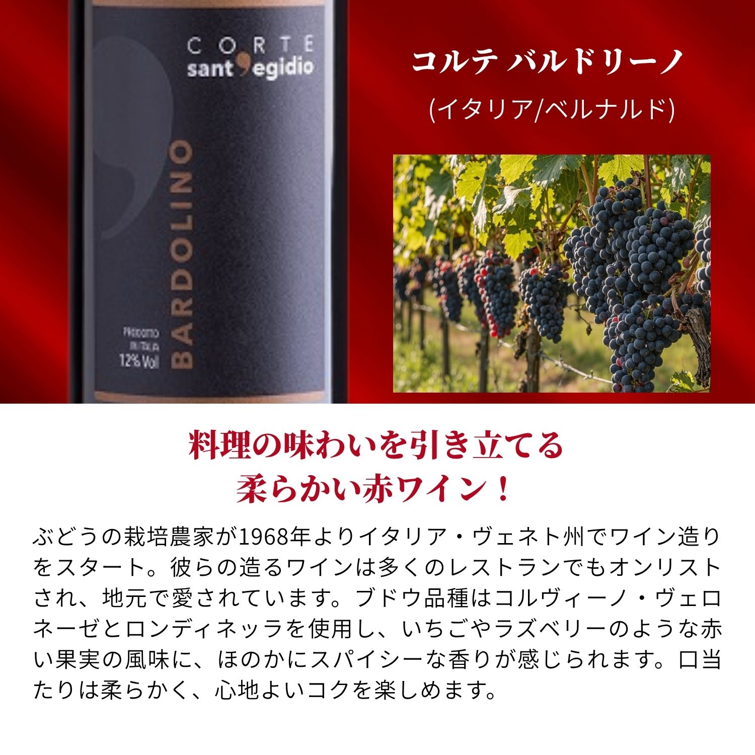 【送料無料】蔵直ワイン専門店が選ぶ！人気の蔵元直送ワインセット 10本 第18弾 赤 白 飲み比べ ワイン 赤ワイン 白ワイン ワインセット デイリーワイン おすすめ スタッフ厳選 フランス チリ オーストラリア 当店セット売上件数No.1 v-yamazaki-10008024 ヴィノスやまざき 楽天市場店 サンプル画像3